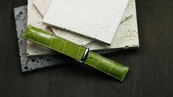 Light Green Alligator