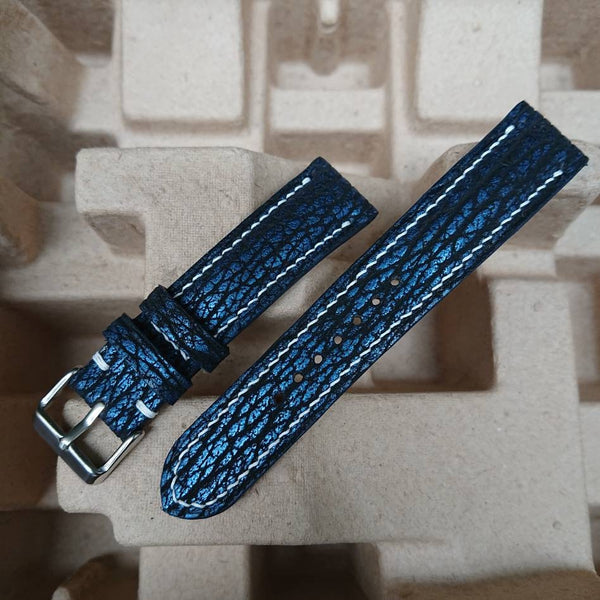 Dark Blue & Navy Shark