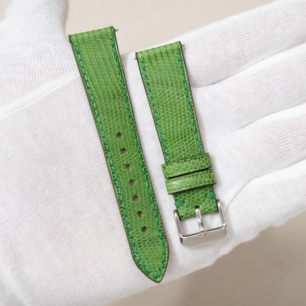 Light Green Lizard
