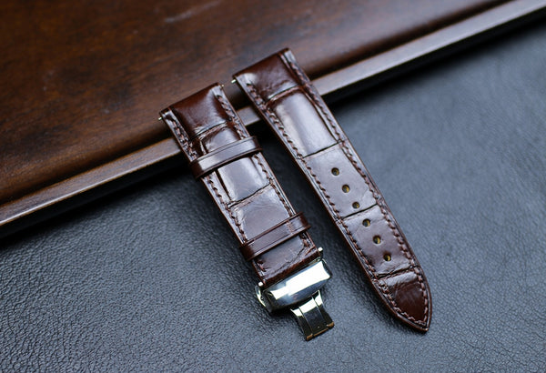 Brown Alligator