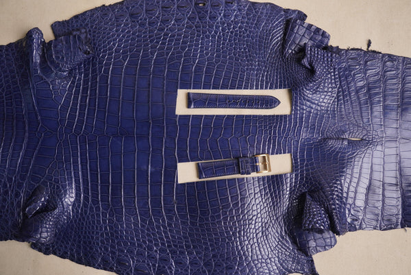 Blue Navy Alligator