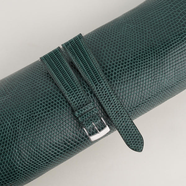 Dark Green Lizard