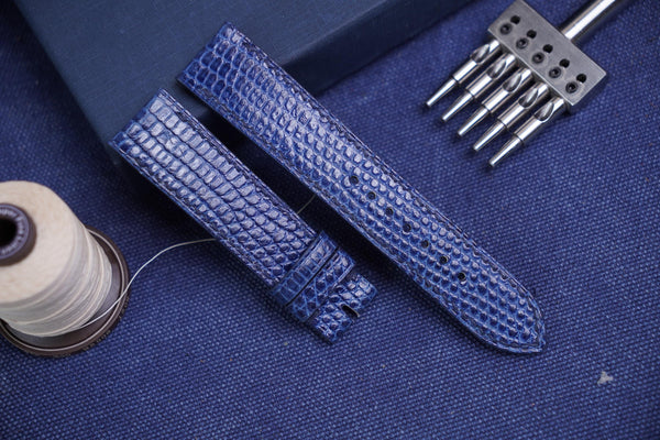 Blue Navy Lizard