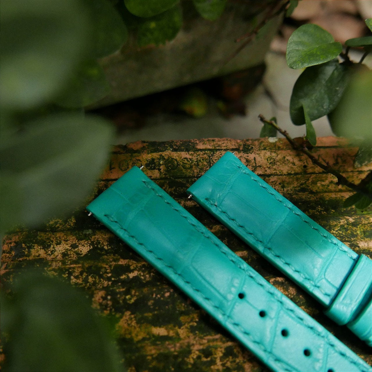aqua blue alligator leather watch strap – photo 4