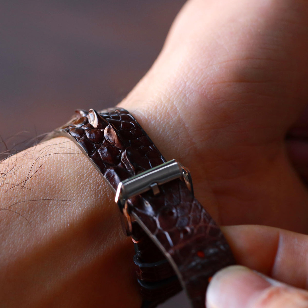 brown alligator leather watch strap – photo 6