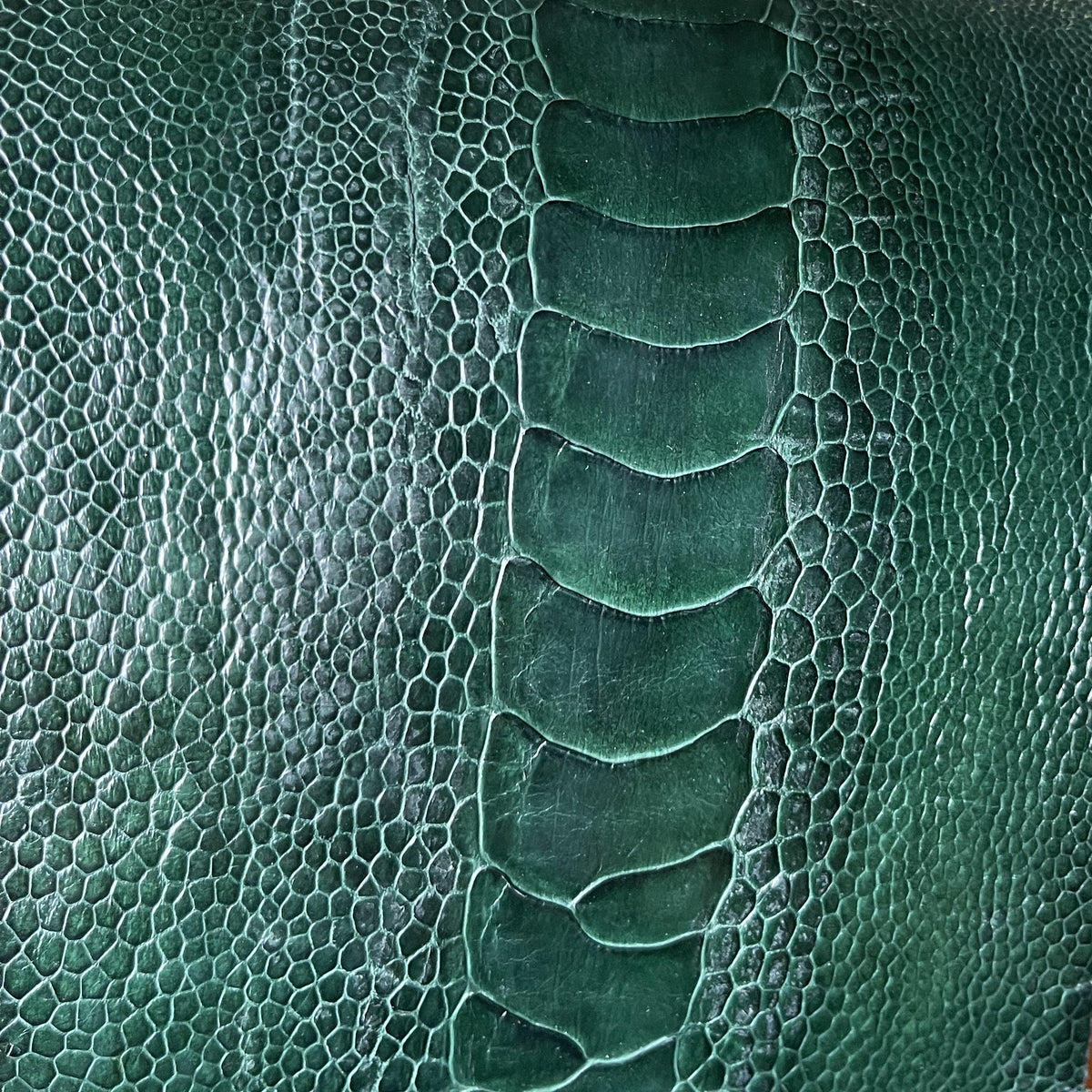 Padded Green Ostrich Leg Leather Watch Strap