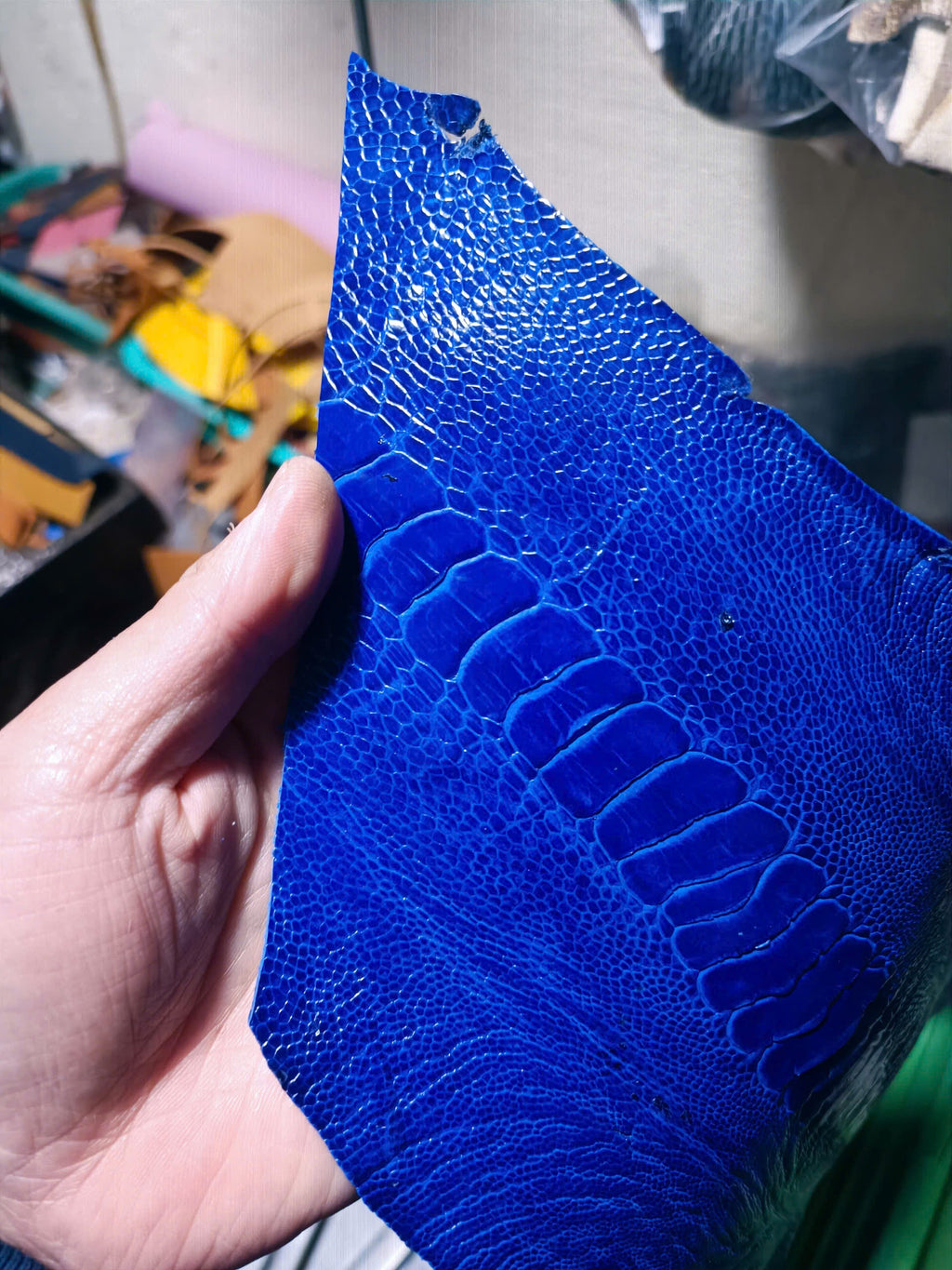 Padded Blue Ostrich Leg Leather Watch Strap